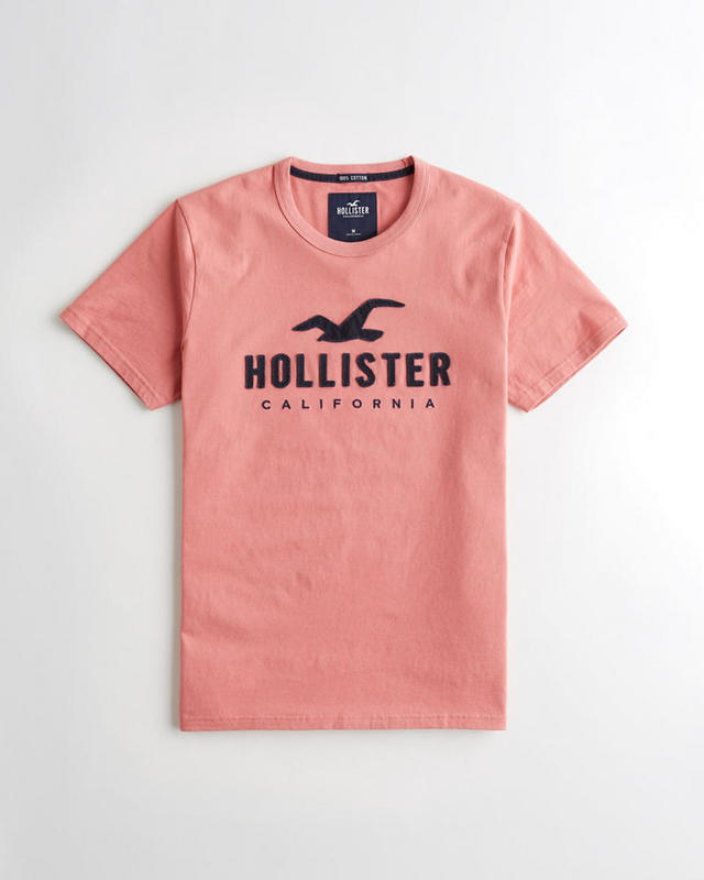 Hollister Men's T-shirts 175